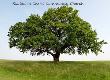 Rooted in Christ
